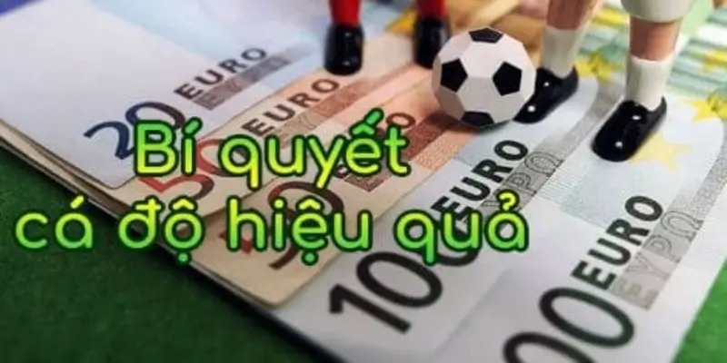 Mẹo cá độ bóng đá 12bet hiệu quả